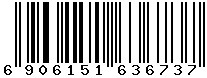 6906151636737