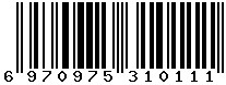 6970975310111