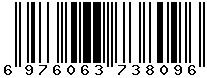6976063738096
