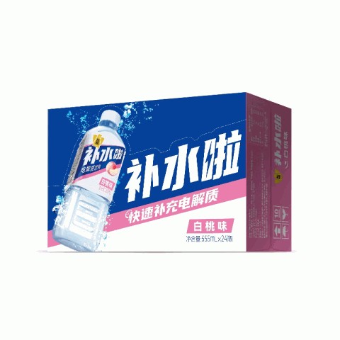 东鹏补水啦电解质饮料（白桃味）