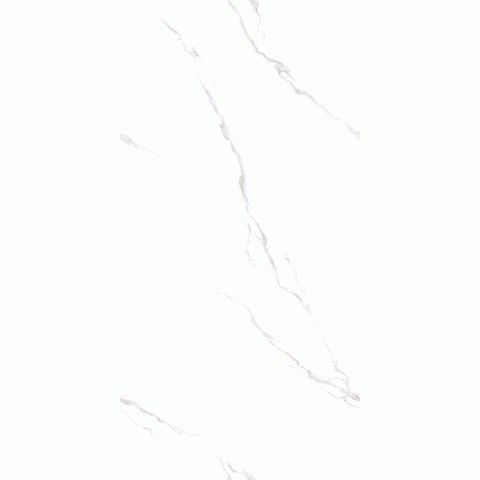 仿古砖EBA00160120X