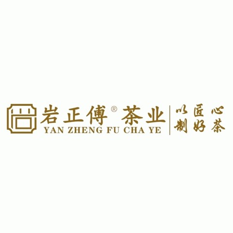 金线莲养生茶